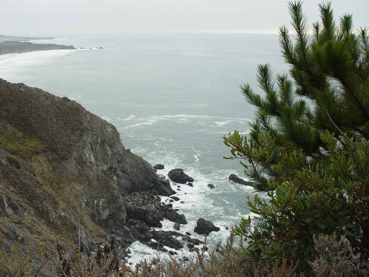 California Ocean.JPG